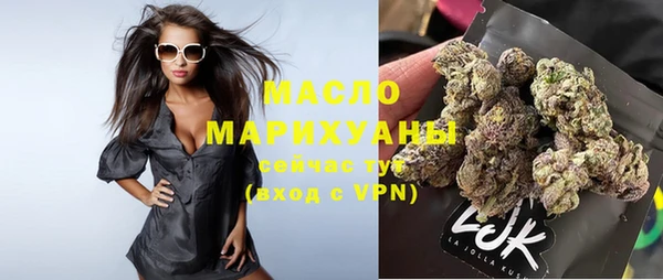 индика Нижневартовск
