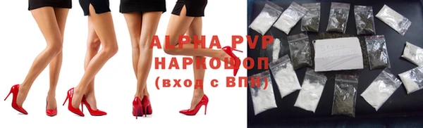 амф Карпинск