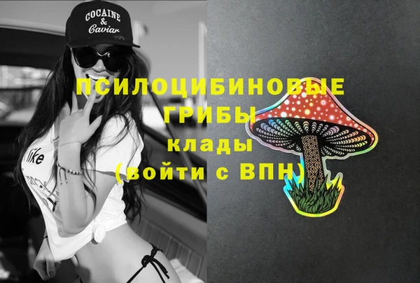 МДМА Каменногорск