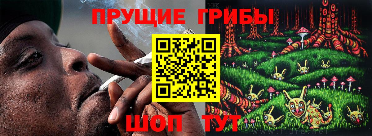 Галлюциногенные грибы MAGIC MUSHROOMS  Вход с VPN  Нарьян-Мар 